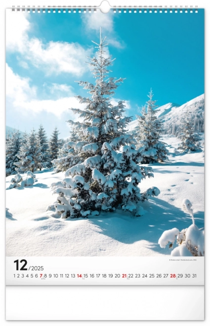 Wall Calendar Trees 2025