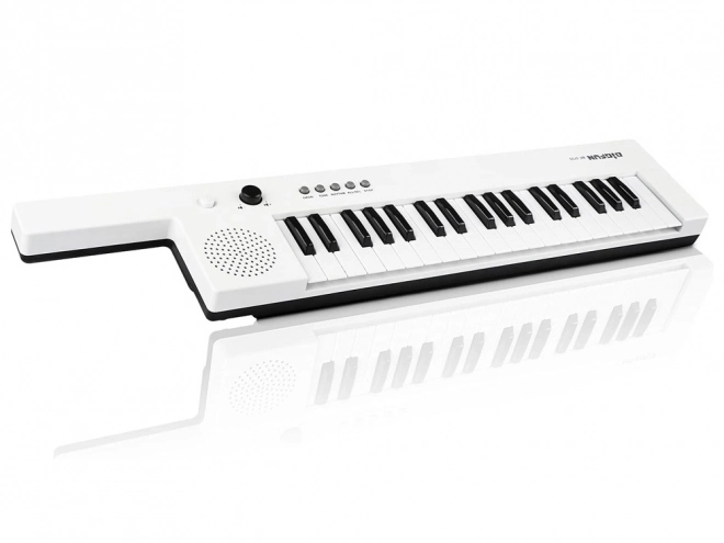 Electronic Keyboard Organs with Handle Musical Toy