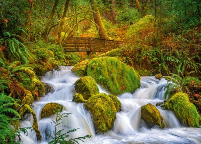 Forest Waterfall Puzzle 1000 Pieces