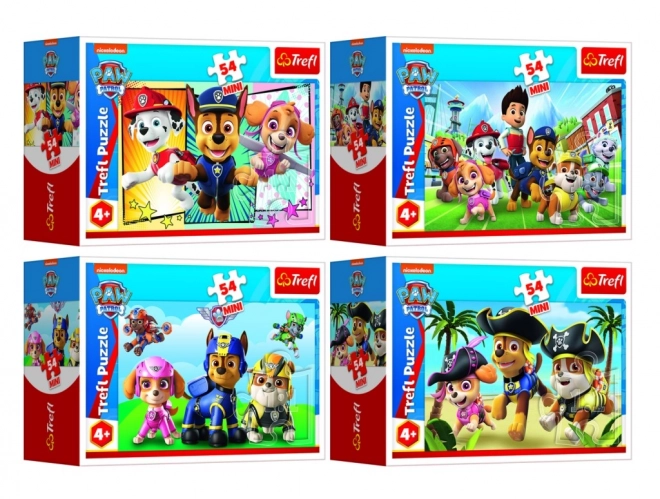 Paw Patrol Mini Puzzle Box