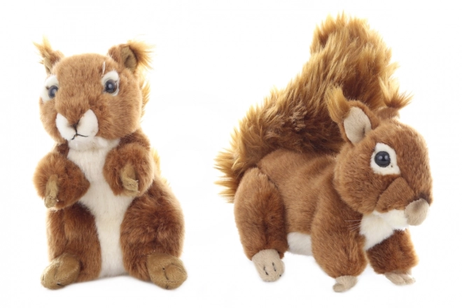 Plush Squirrel Toy