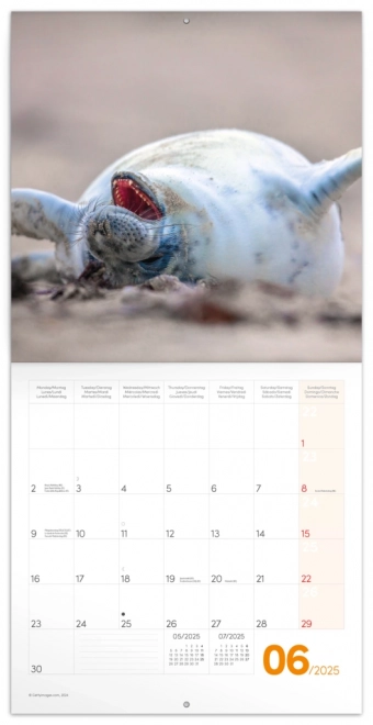 Smile Please 2025 Wall Calendar by NOTIQUE