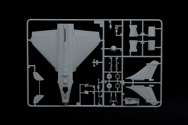 Rafale M Plastic Model for External Operations