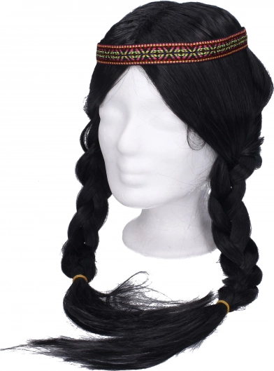 Wig with Black Braids for a Native Costume