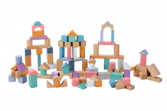 Wooden Block Set for Kids - 100 Pieces