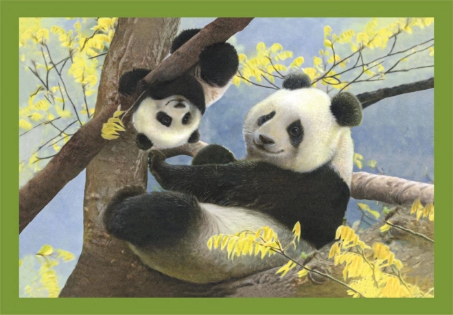 Clementoni Adorable Animals Progressive Puzzle Set