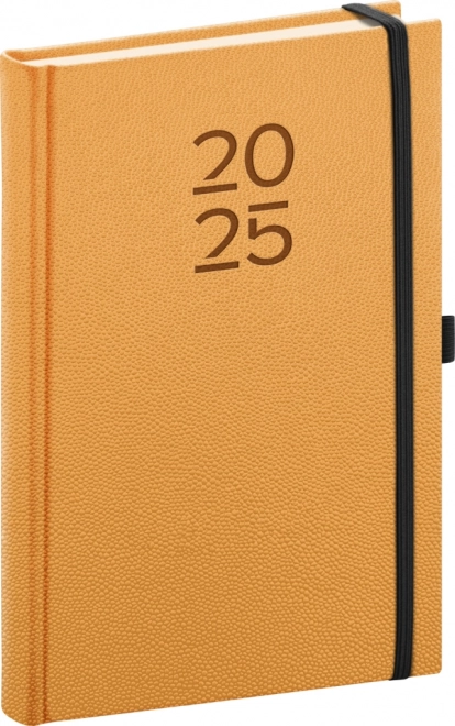 Notique Daily Planner Vellum 2025 Orange