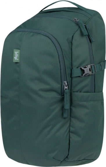 Baagl Dash Max Green Backpack