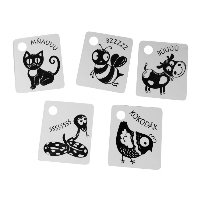 Black and White High-Contrast Cards