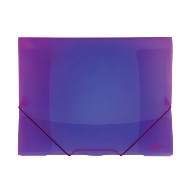 Purple Opaline Folder with Elastic Band