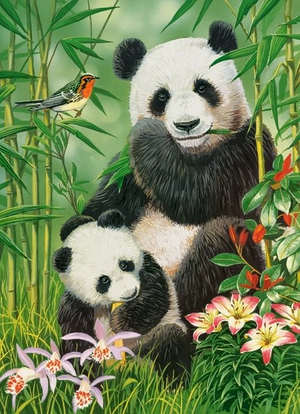 Castorland Panda Brunch Puzzle 300 Pieces