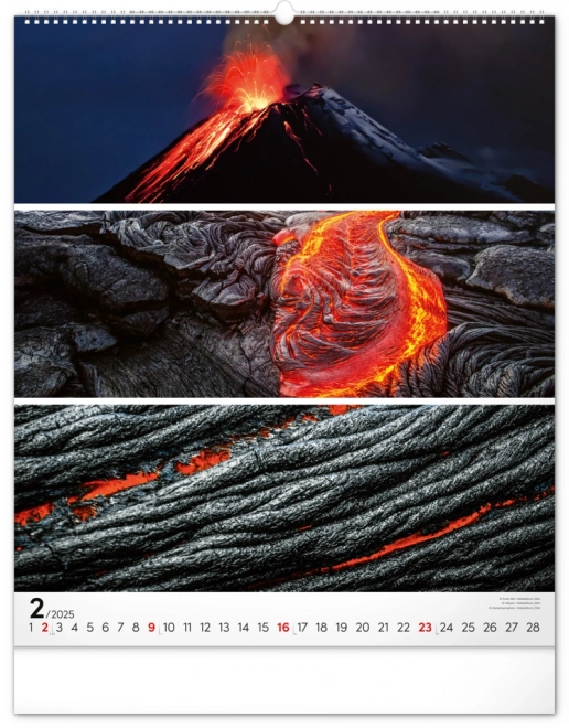 Wall Calendar Palette 2025