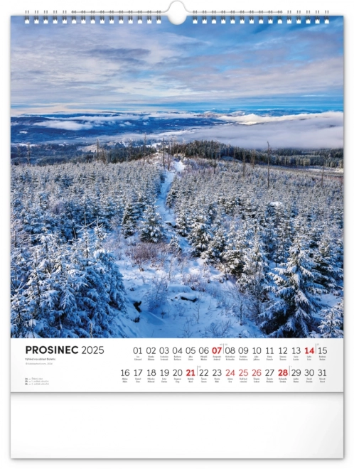 Wall Calendar Bohemian Forest 2025