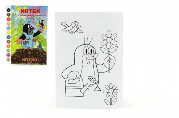 Coloring Book A5 Little Mole Paint by Numbers