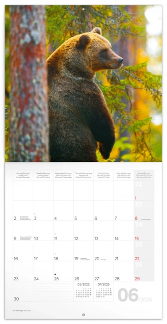 Notique Forest Animals Wall Calendar 2025