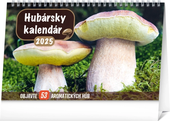 Desk Mushroom Calendar 2025