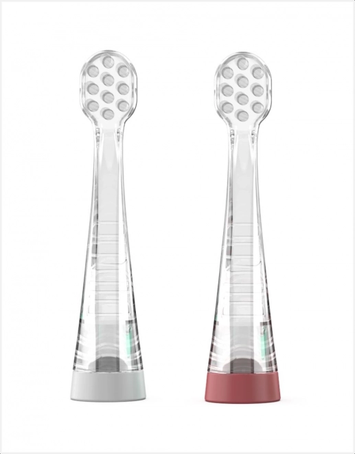 Replacement Heads for Sonic Toothbrush with DuPont Bristles