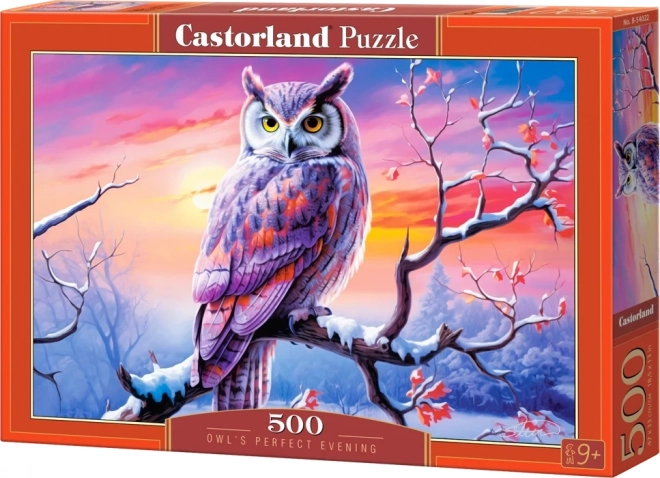 Owl's Perfect Evening Puzzle