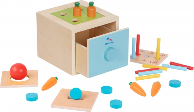 2Kids Toys Drevená multifunkčná vhadzovacia hračka
