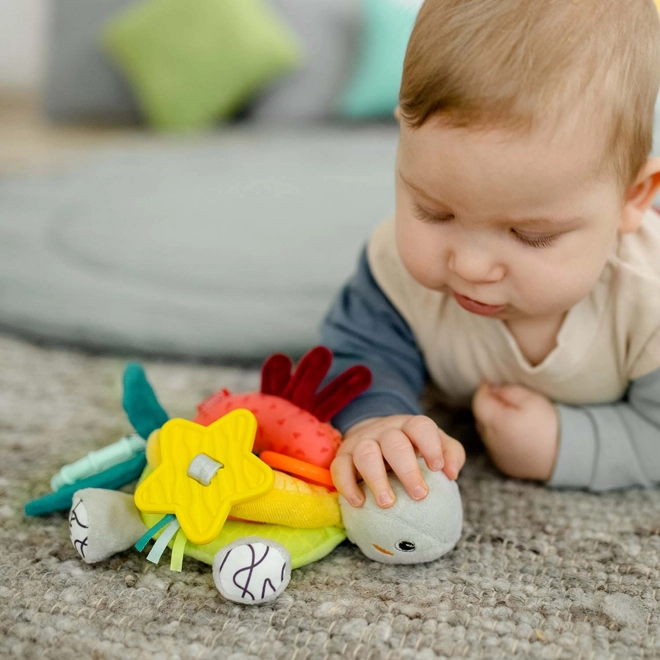 Activity Turtle for Babies