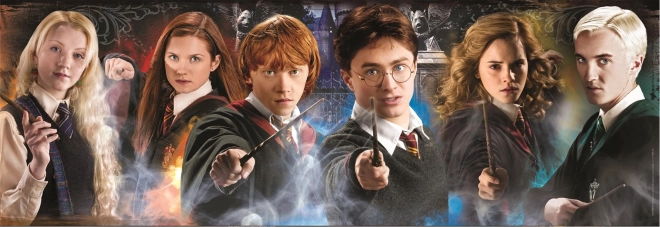 Puzzel 1000 stukjes Panorama Harry Potter: Studenten