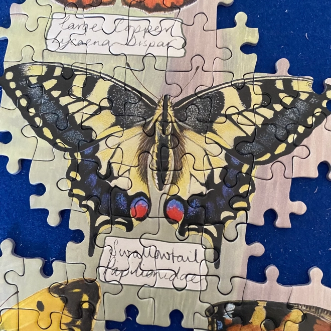 Gibsons Beautiful Butterflies Puzzle 1000 Pieces