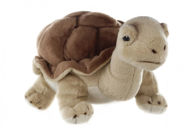 Plush Turtle