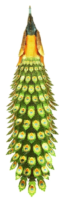 Eye-catching decor and a great gift