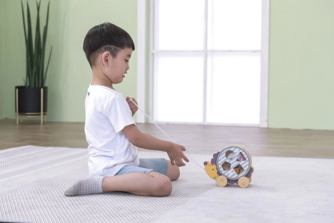 Hedgehog Pull Toy with Shape Sorter