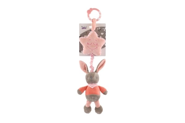 Musical Bunny Plush Toy