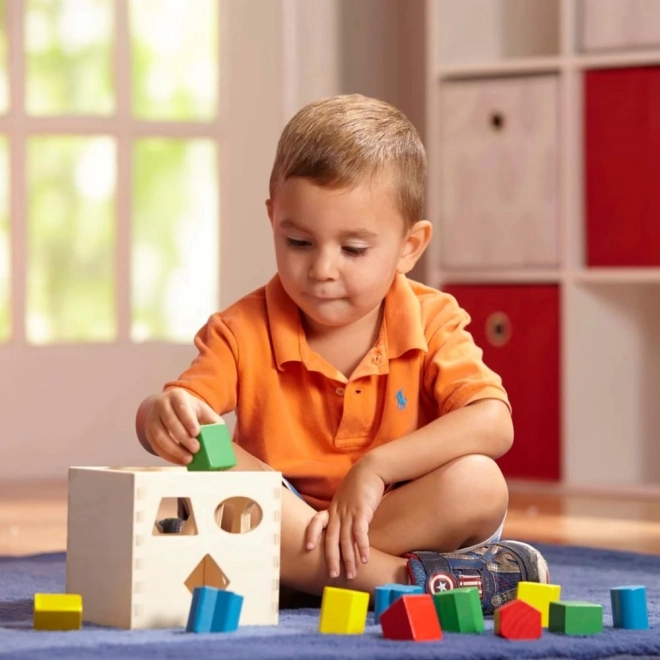 Educational Sorting Cube