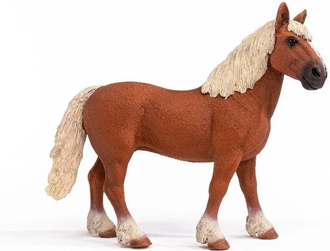 Ideální pro sběratele i učení