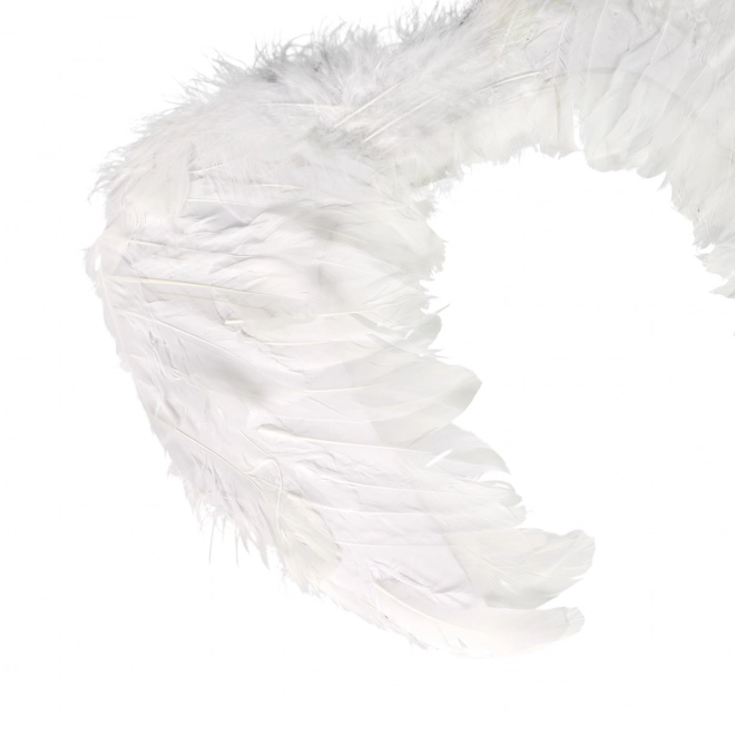 Angel Feathery Wings