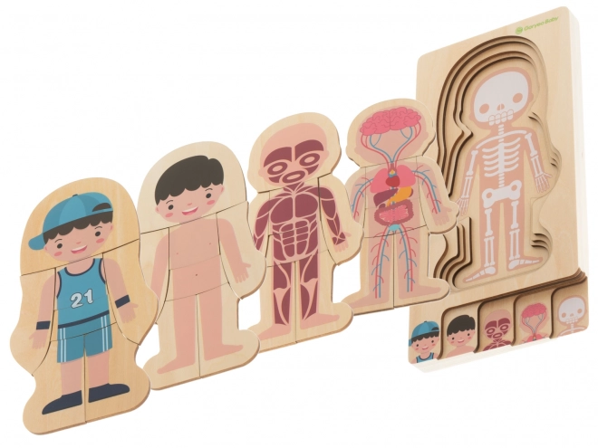 Wooden Layered Human Body Puzzle Montessori Boy