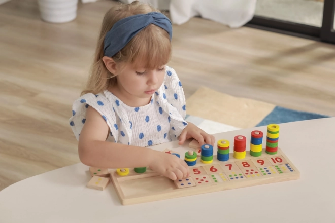 Educational Puzzle for Learning Counting