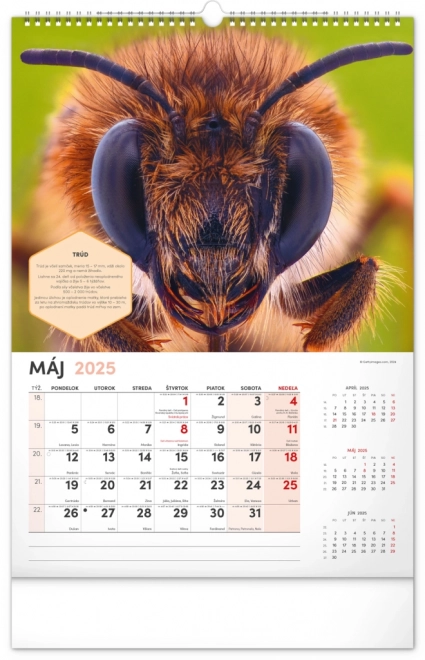 Wall Beekeeper Calendar 2025