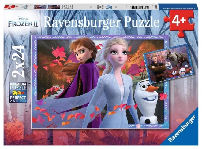 Disney Frozen 2 Puzzle Set