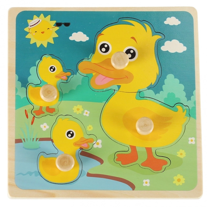 Wooden Duck Sorting Puzzle