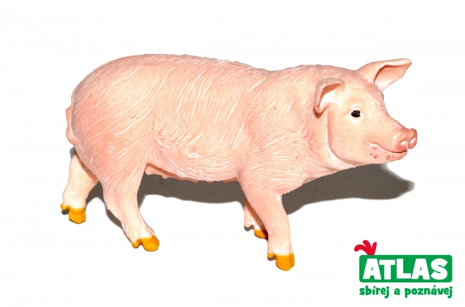 Hand-Painted Piglet Figurine