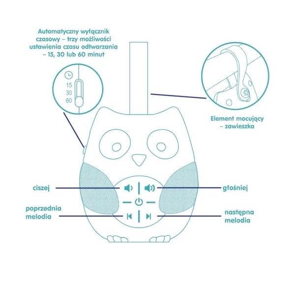 Interactive Musical Owl Toy
