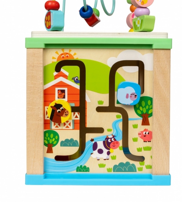 Wooden Activity Cube