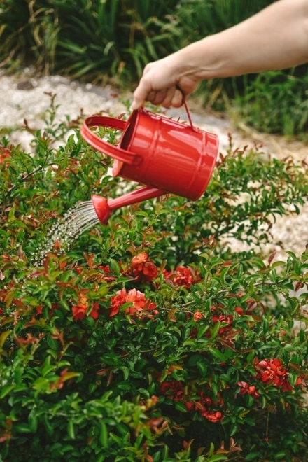 Garden Toy - Red Metal Watering Can