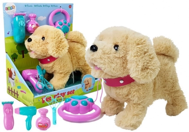 Plush Puppy on a Leash with Accessories