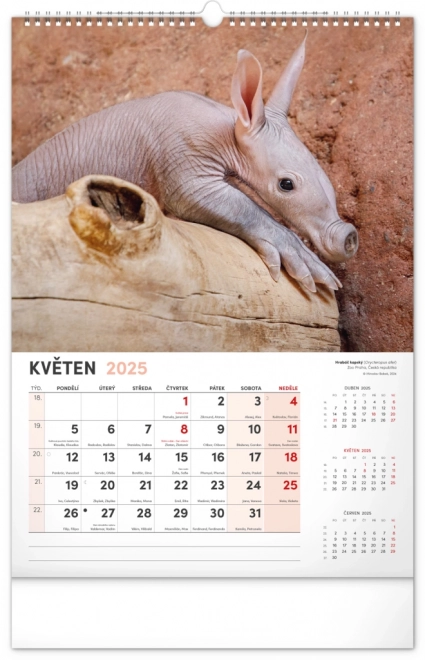 Notique Wall Calendar Most Interesting Animals 2025