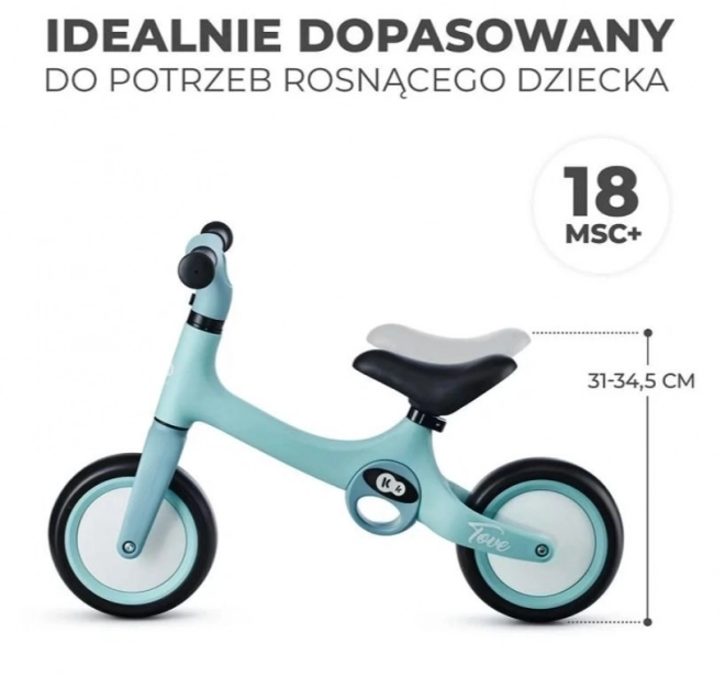 Balance Bike Tove Summer Mint