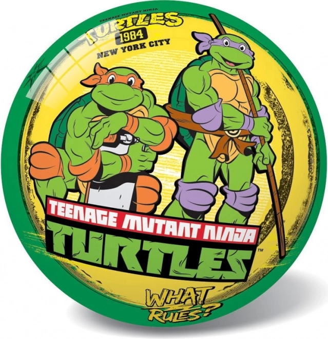 Ninja Turtles Ball Retro 23 cm