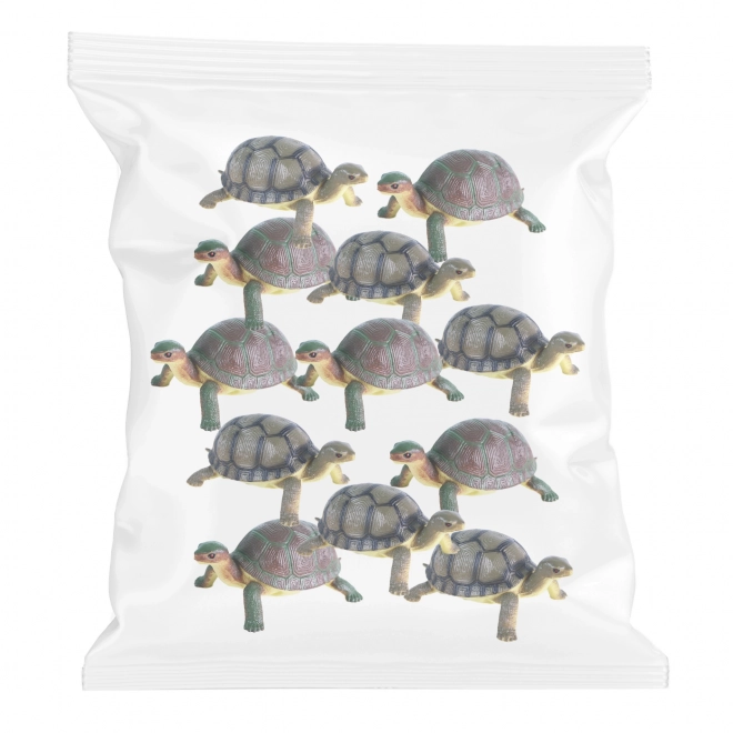 Plastic Turtle Toy