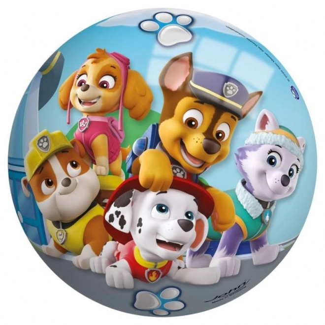 Paw Patrol Kids Pearl Ball