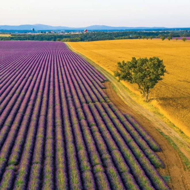 Koledar z opombami Provence 2026