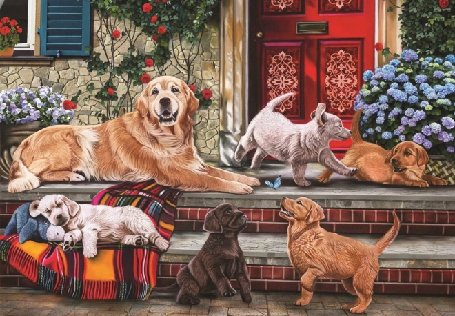 Family of Dogs Puzzle 260 Pieces